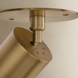 Caleb Flush Mount