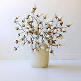 Magnolia Spray Bundle