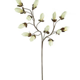 Magnolia Spray Bundle