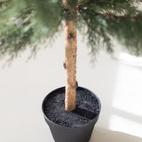 Artificial Cypress Tree