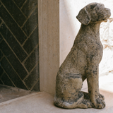 Weathered Stone Dog