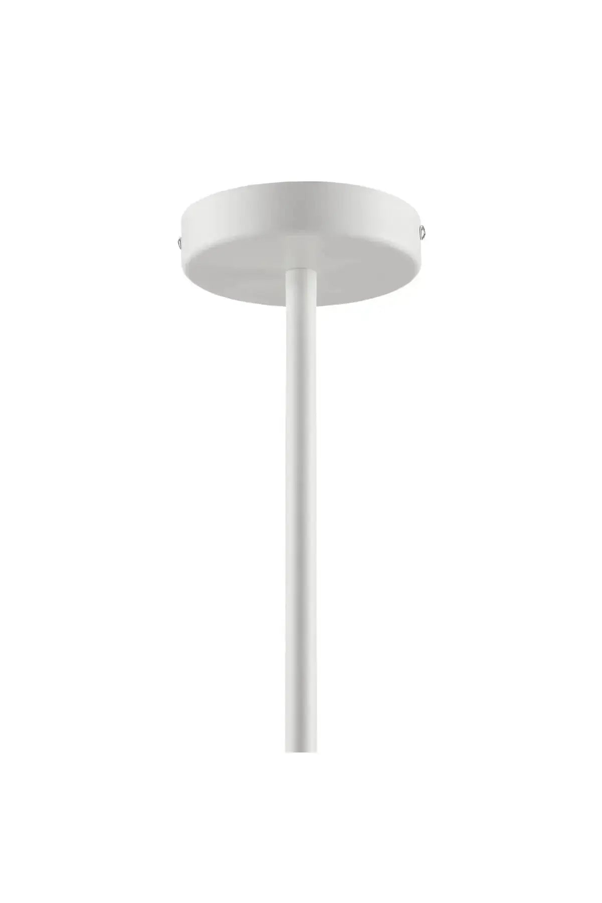 Sunlit Squiggle 2-Arm Pendant Light - Natural White