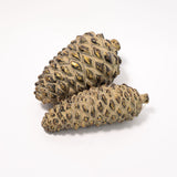 Rustic Pinecone - 2 Sizes