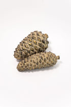 Rustic Pinecone - 2 Sizes