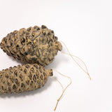 Rustic Pinecone - 2 Sizes