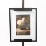 Magnolia Flowers Still Life Print
