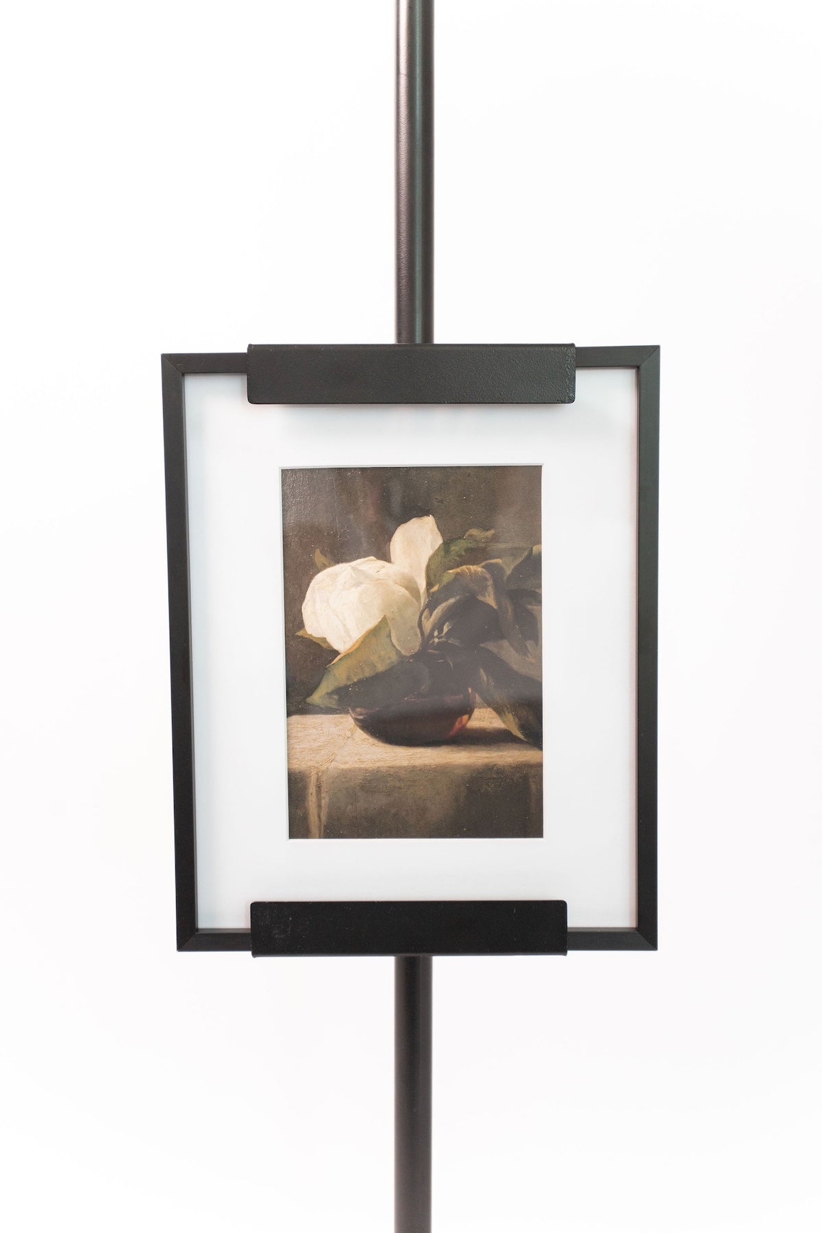 Magnolia Flowers Still Life Print