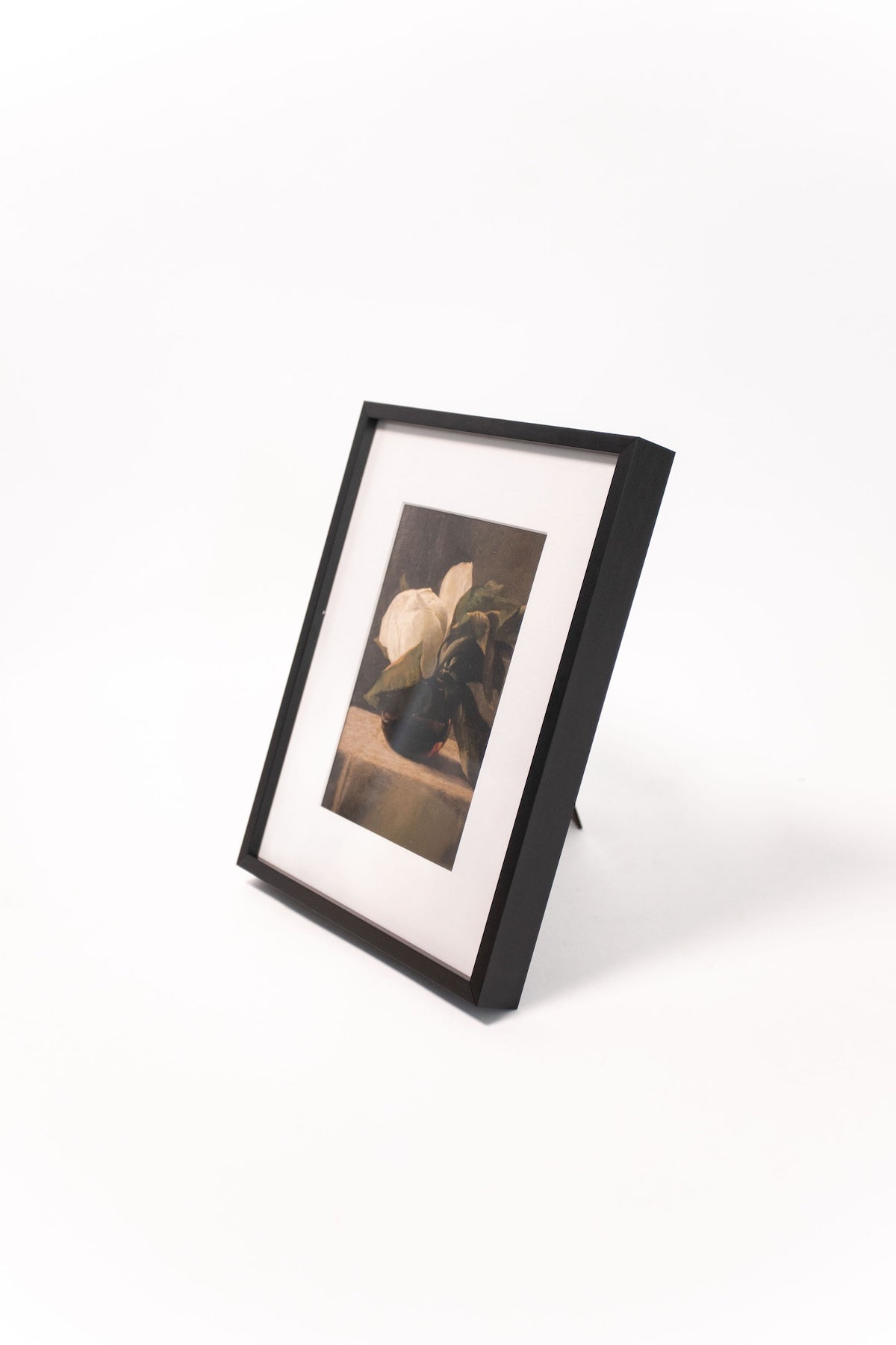 Magnolia Flowers Still Life Print