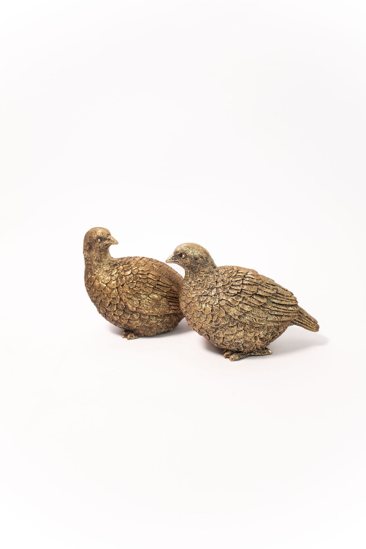 Gold Pheasant - Set of 2