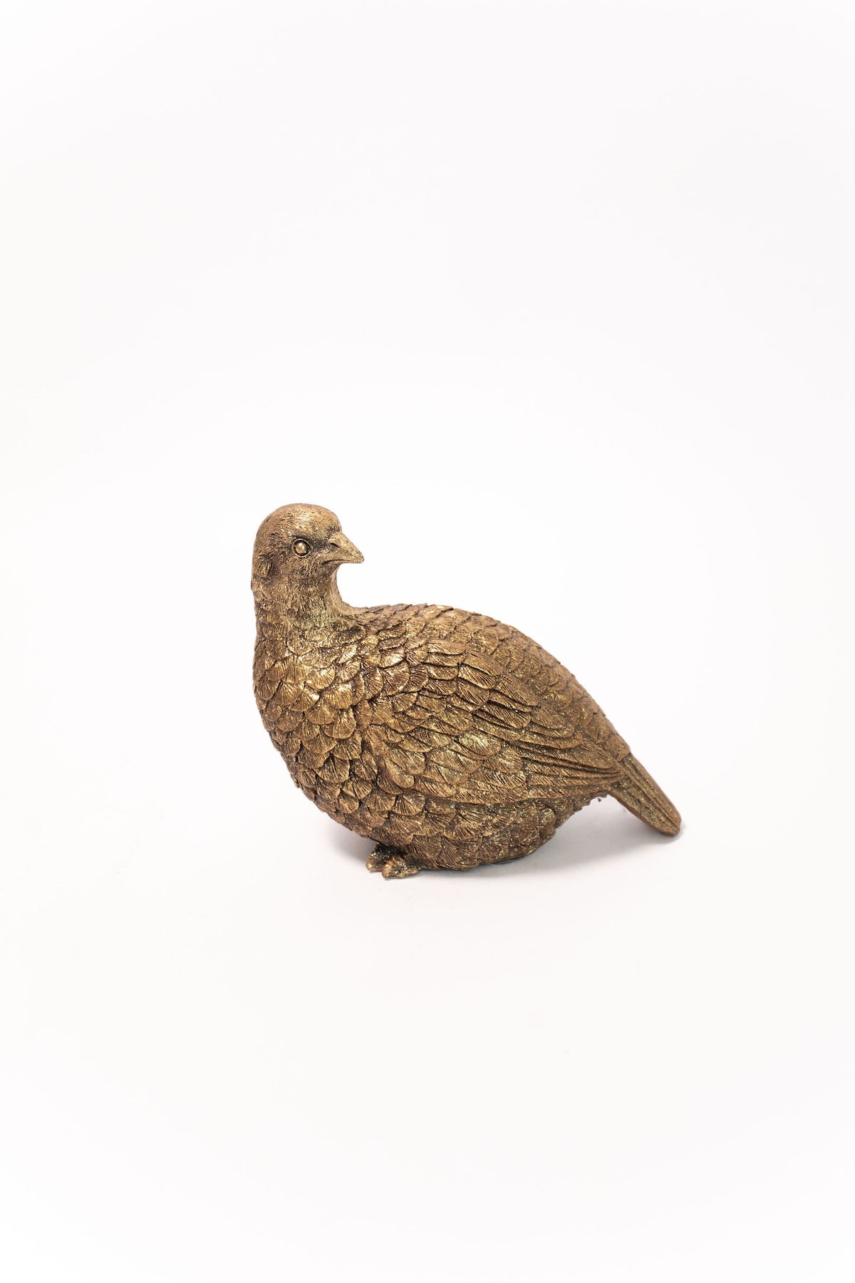 Gold Pheasant - Set of 2