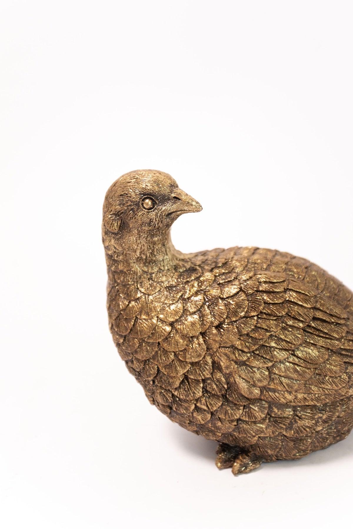 Gold Pheasant - Set of 2