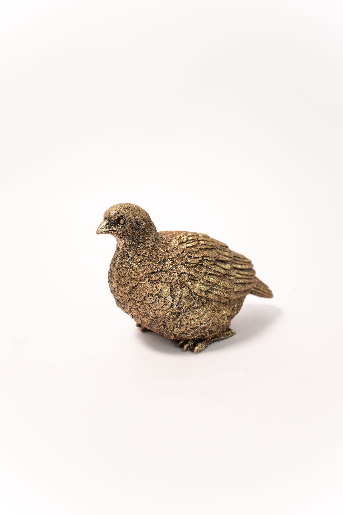 Gold Pheasant - Set of 2