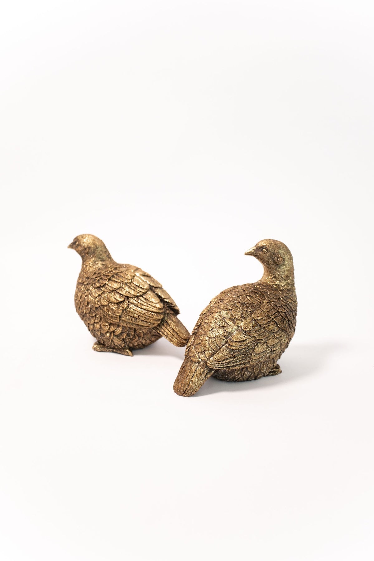 Gold Pheasant - Set of 2
