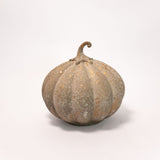 Dusty Finish Pumpkin - 2 Sizes