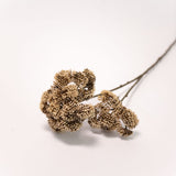 Seed Cluster Stem - 27"