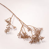 Dried Glitter Baby's Breath Stem - 29"