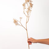Dried Glitter Baby's Breath Stem - 29"