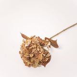 Hydrangea Stem - Rust - 26"