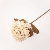 Hydrangea Stem - Ivory - 26"