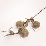 Crabapple Stem - 31" - Green