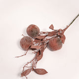 Crabapple Stem - 31" - Red