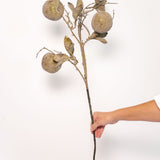 Crabapple Stem - 31" - Green