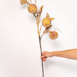 Crabapple Stem - 31" - Yellow