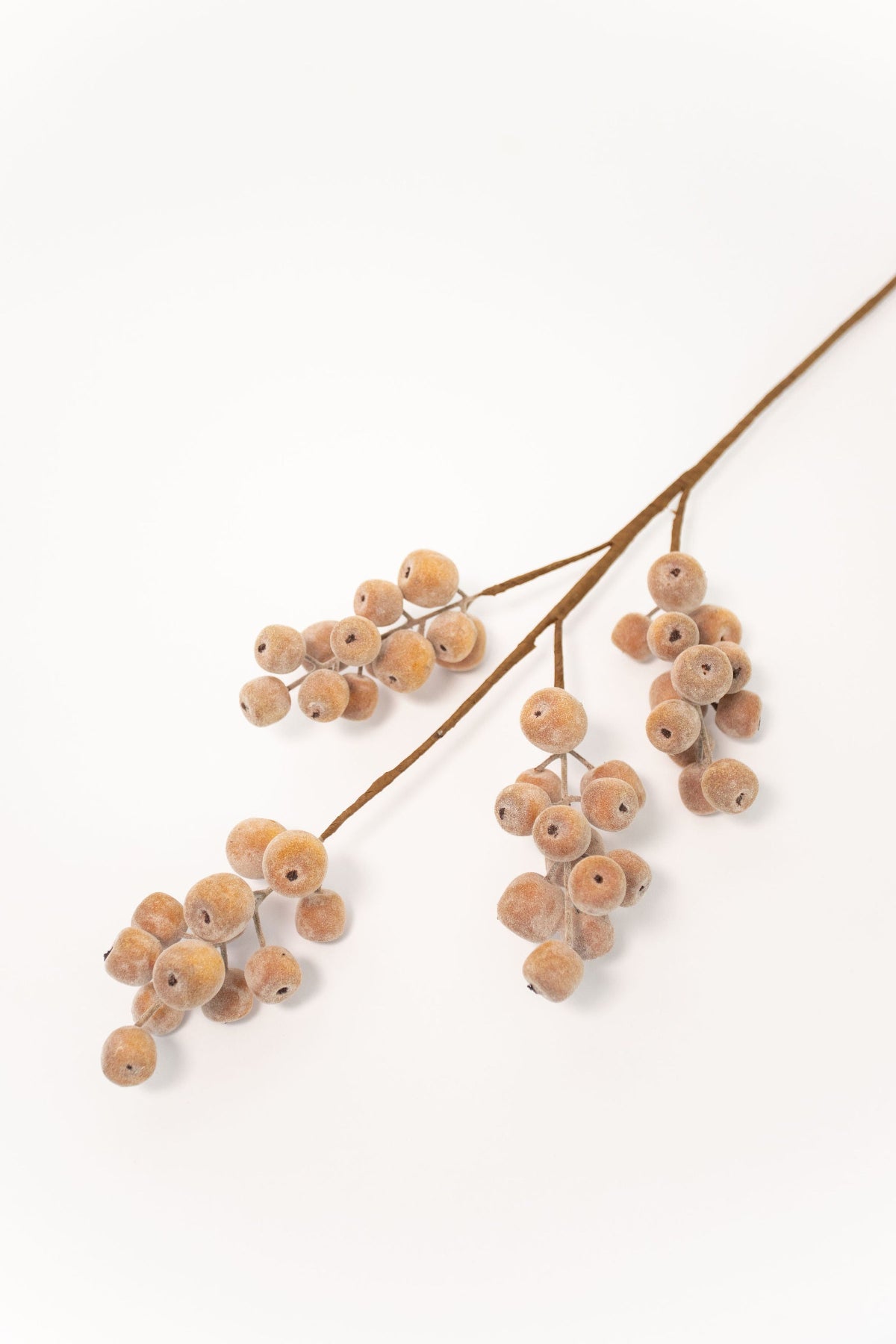 Crabapple Branch - 26