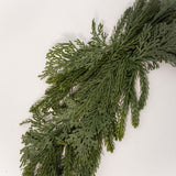 Mixed Pine, Juniper and Cedar Garland - 6'