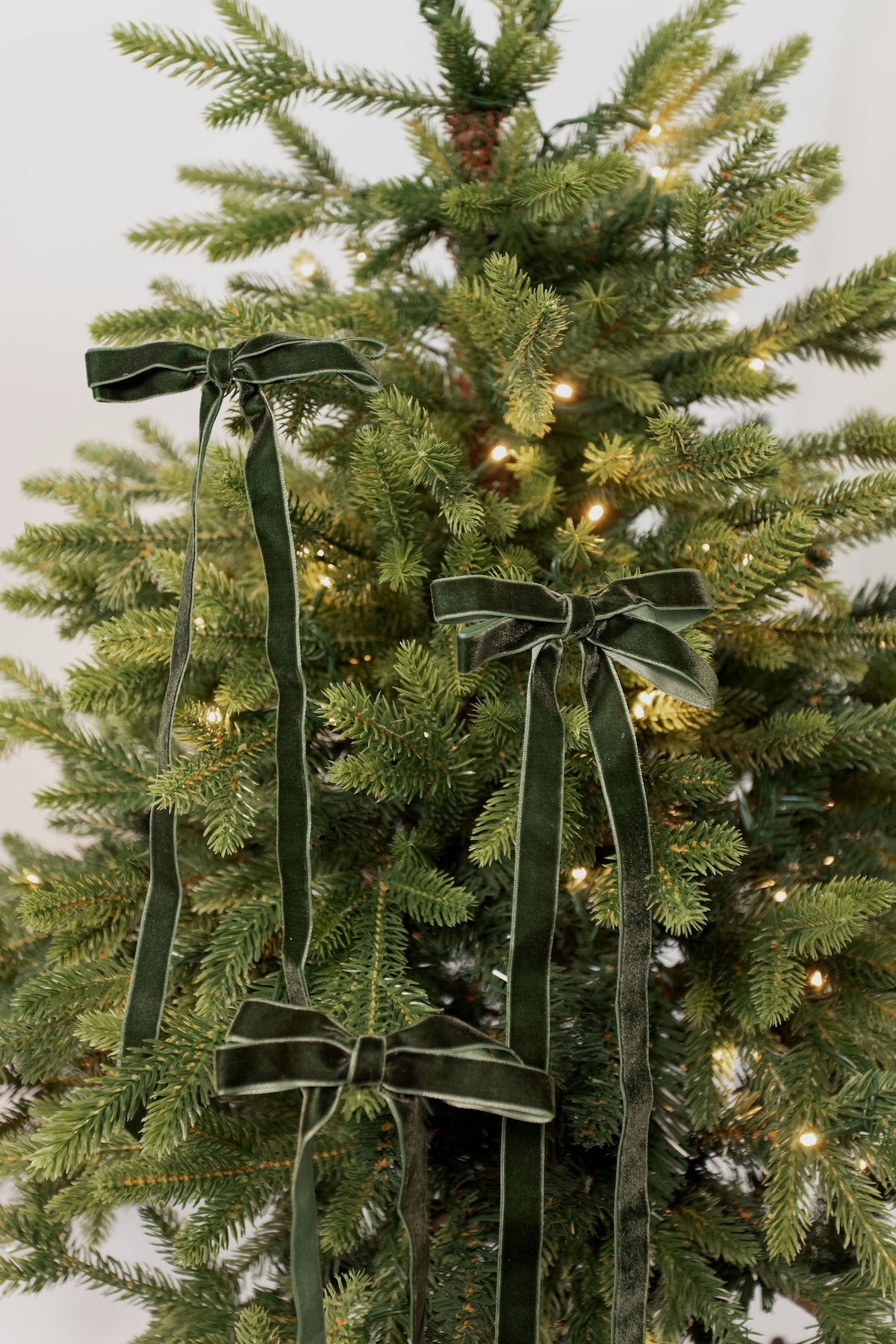 Velvet Bows - Green - Set of 3