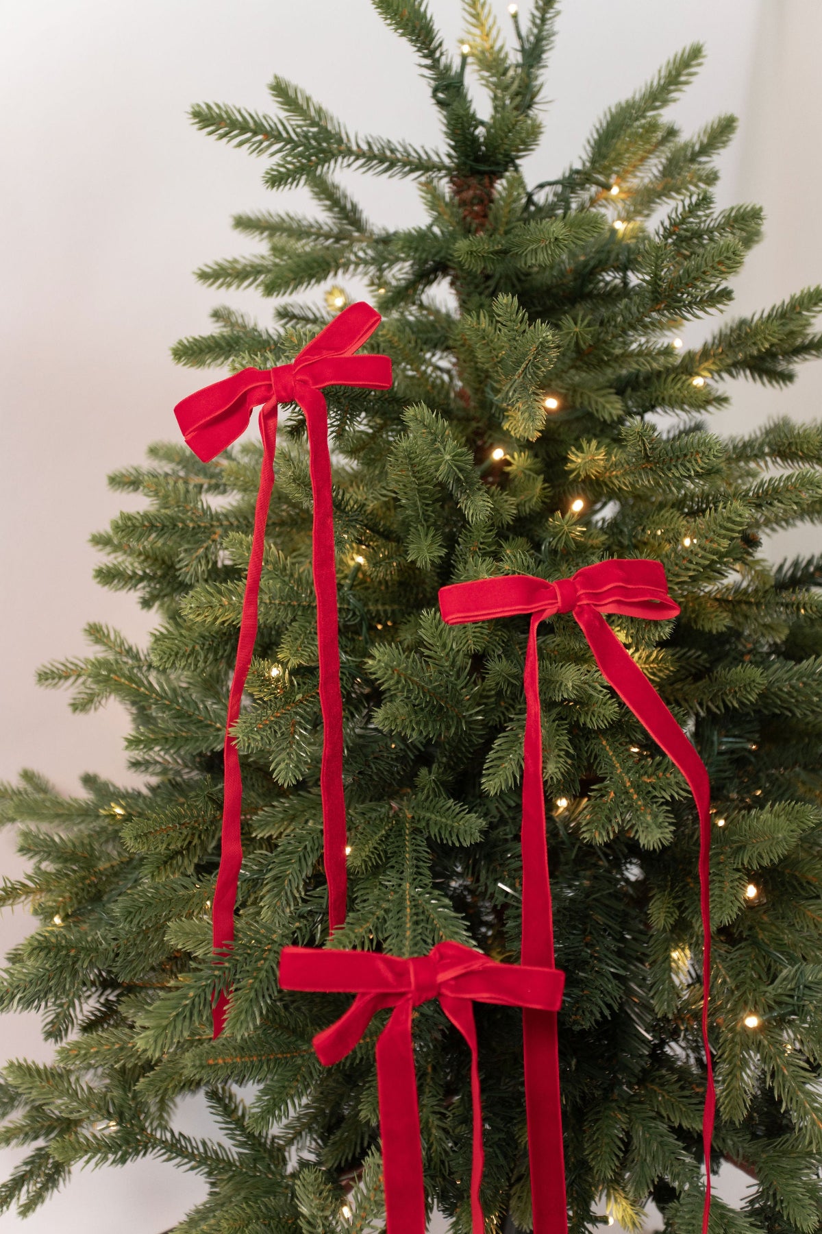 Velvet Bows - Red - Set of 3