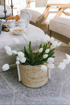 Tulip Bundle - 19