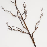 Carla Coffee Branch - 36"