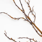 Carla Coffee Branch - 36"