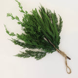 Pine and Cedar Hanging Teardrop - 17"