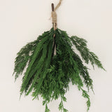 Pine and Cedar Hanging Teardrop - 17"