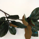 Magnolia Stem - 30"