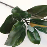 Magnolia Stem - 30"