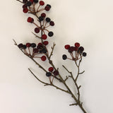 Berry Stem - 26”