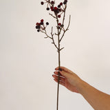Berry Stem - 26”