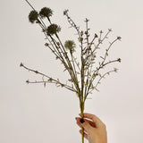 Melaleuca Dusk Stem - 20.5”