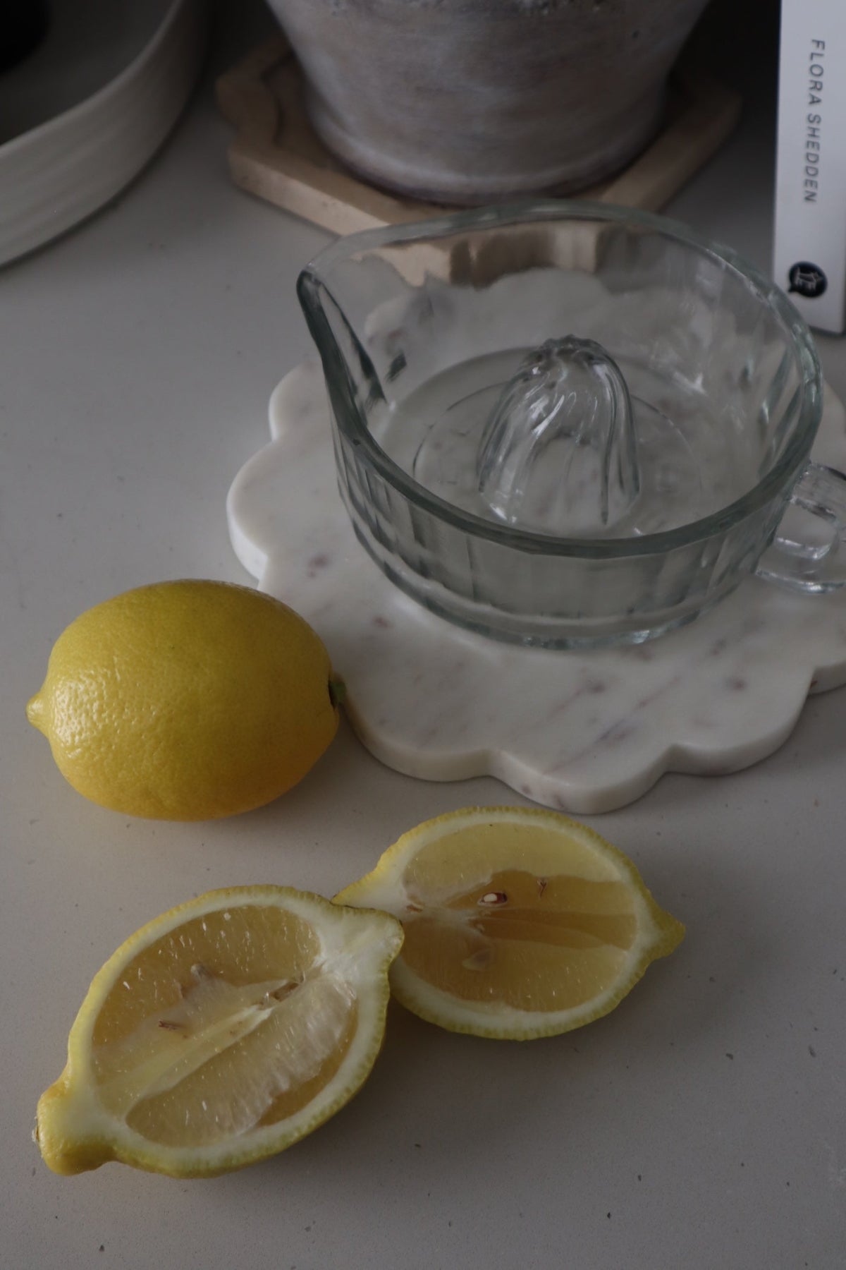 Glass Citrus Juicer