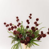 Burgundy Pom Stem - 33"