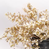 Prunus Blossom Stem - 41"
