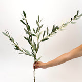 Elisa Olive Branch Spray - 27"