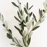 Elisa Olive Branch Spray - 27"