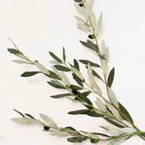 Elisa Olive Branch Spray - 27"