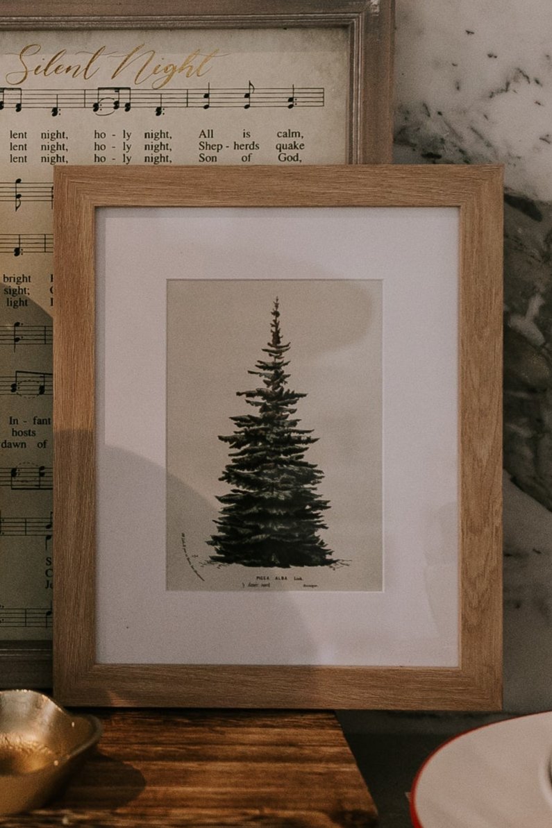 Spruce Wall Art