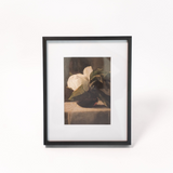 Magnolia Flowers Still Life Print