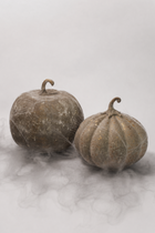 Dusty Finish Pumpkin - 2 Sizes